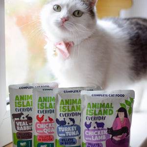 ANIMAL ISLAND CAT EVERYDAY SZARPANE FILECIKI W ROSOLE MIX DUO 40X85G