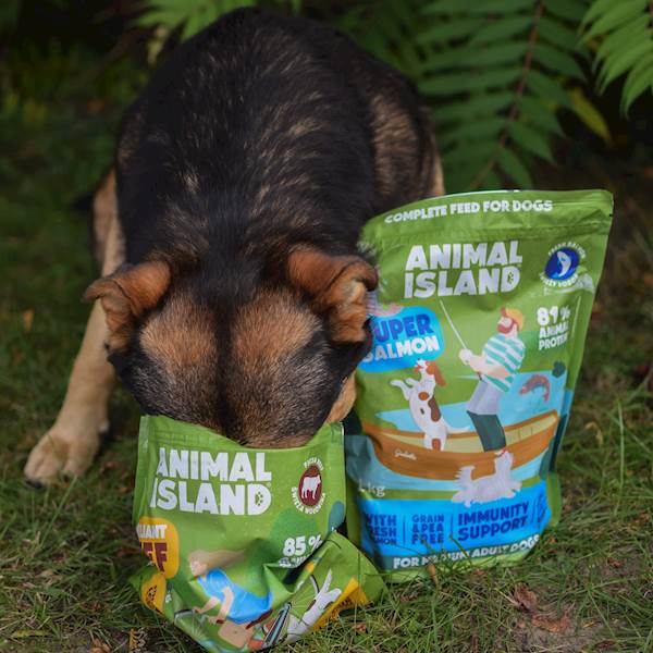 ANIMAL ISLAND DOG PREMIUM ŁOSOŚ (KARMA SUCHA) 1KG