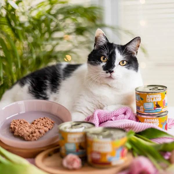 ANIMAL ISLAND CAT PREMIUM INDYK I PRZEPIÓRKA 200G