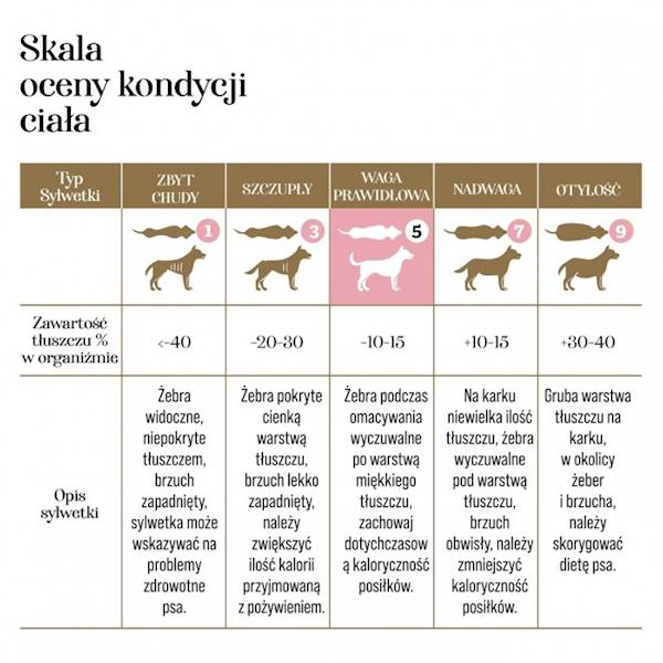 DR MALOU KARMA LIOFILIZOWANA DLA SZCZENIĄT KACZKA Z MLEKIEM KOZIM I ŻÓŁTKIEM 1KG