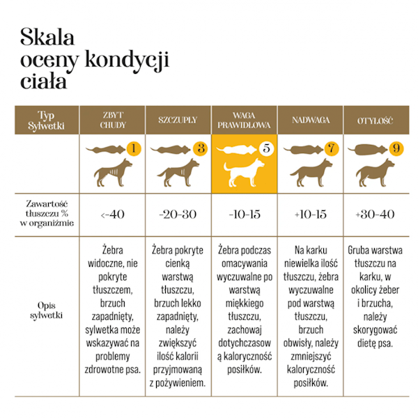 DR MALOU KARMA LIOFILIZOWANA DLA PSA KURCZAK Z DYNIĄ 1KG
