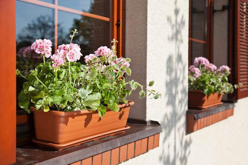 Skrzynka balkonowa Natura 500 mm - ceglasty