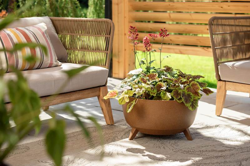 Misa ROMA ECO wood 330 - naturalne drewno