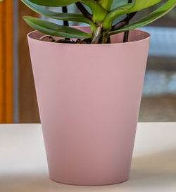 Osłonka do storczyków Vanda 13 Pudrowy Róż mat