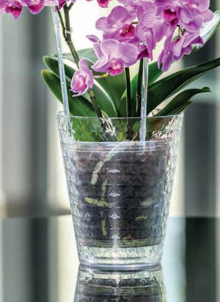 Osłonka do storczyków Diament petit 13 cielisty