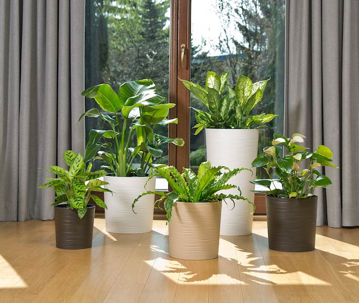 Doniczka LILIA 190 dłuto - mokka