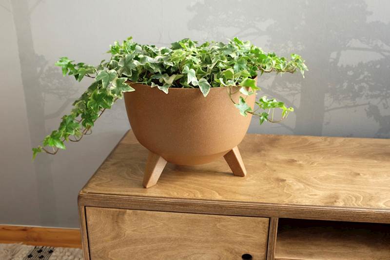 Misa ROMA ECO wood 240 - naturalne drewno