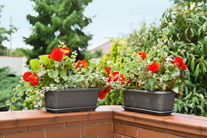 Skrzynka balkonowa Natura 400 mm - biały