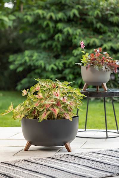 Misa ROMA 290 recycled - czarny