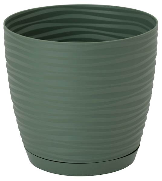 Sahara petit okrągła z podst. 15 zielona herbata