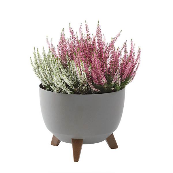 Misa ROMA ECO wood 240 - szary