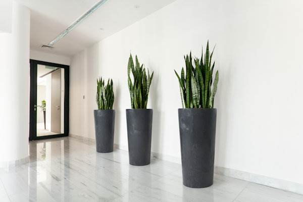 Doniczka LILIA 250 - czarny beton