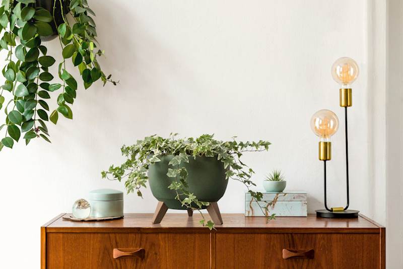 Misa ROMA ECO wood 330 - zielony leśny