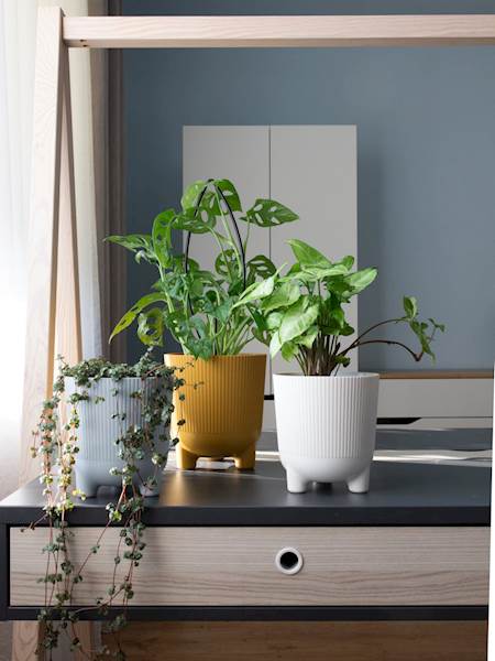 Osłonka ARIA jumper 180 mm ECO Wood zielony leśny