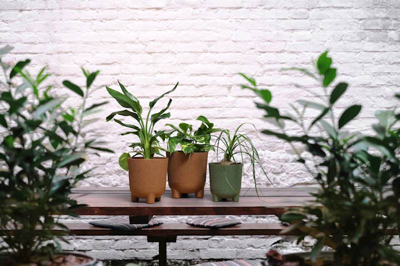 Osłonka ARIA jumper 180 mm ECO Wood piaskowy