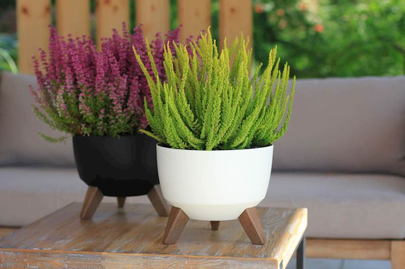 Misa ROMA 330 - biały