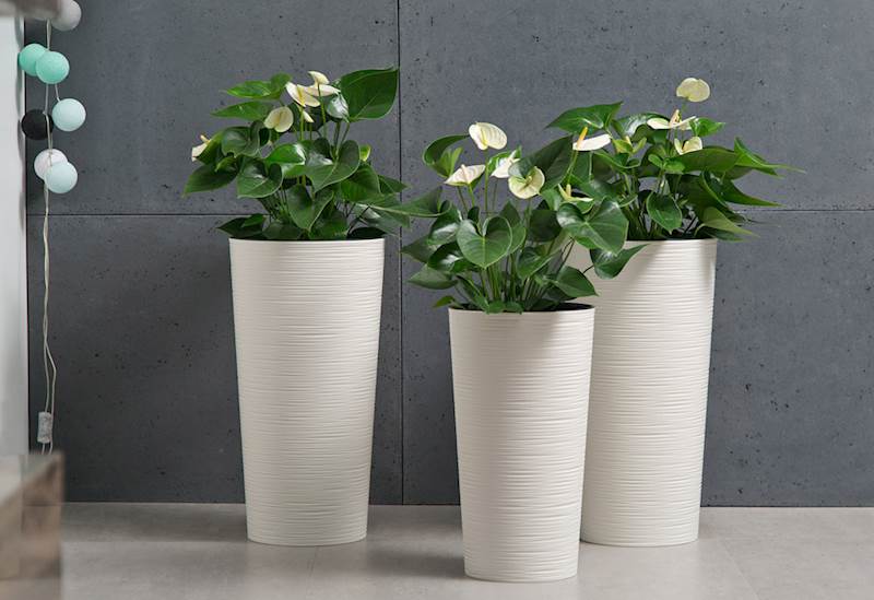 Doniczka LILIA 190 dłuto - biały