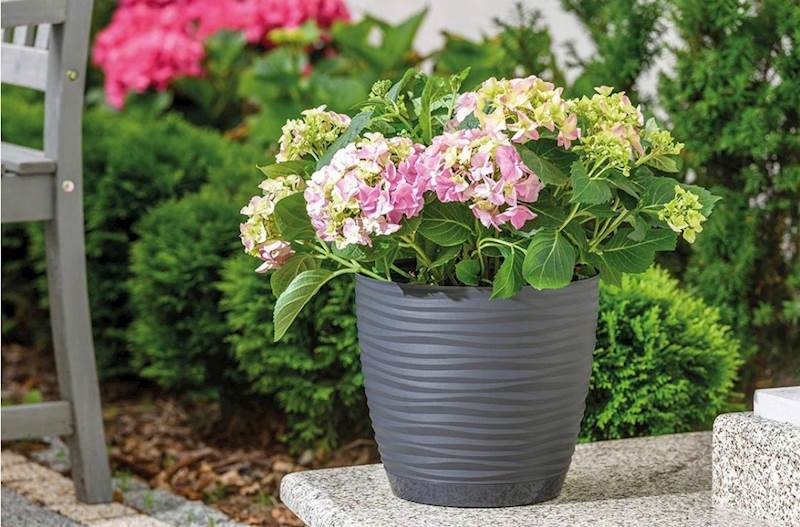 Sahara petit okrągła z podstawką 15 szaro-beżowy