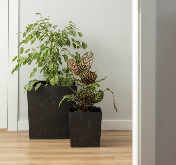 Doniczka JUKA 300x300 - biały