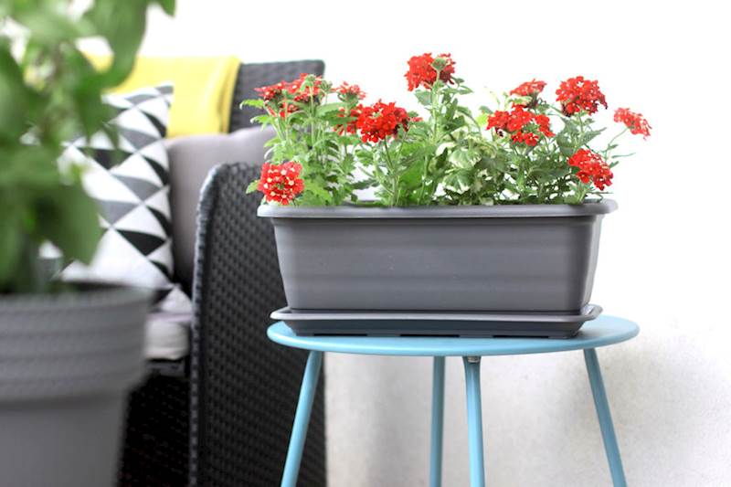 Skrzynka balkonowa Natura 500 mm - antracyt