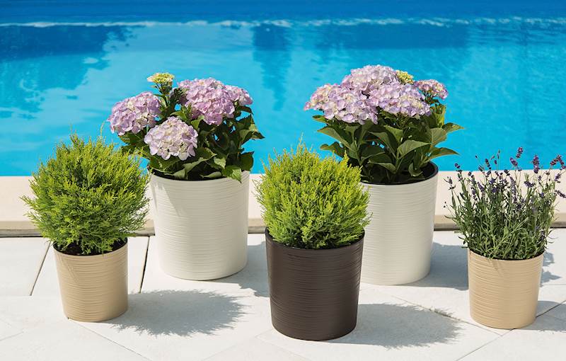 Donica MALWA 250 dłuto - biały