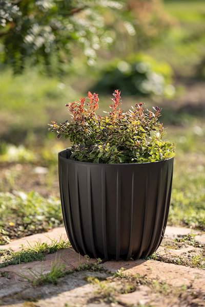 Oslonka niska MIRA 240 mm recycled beżowy