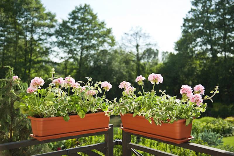 Skrzynka balkonowa Natura 1000 mm - ceglasty