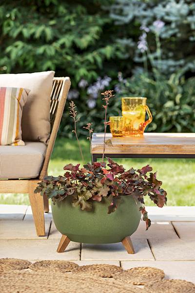 Misa ROMA ECO wood 240 - zielony leśny