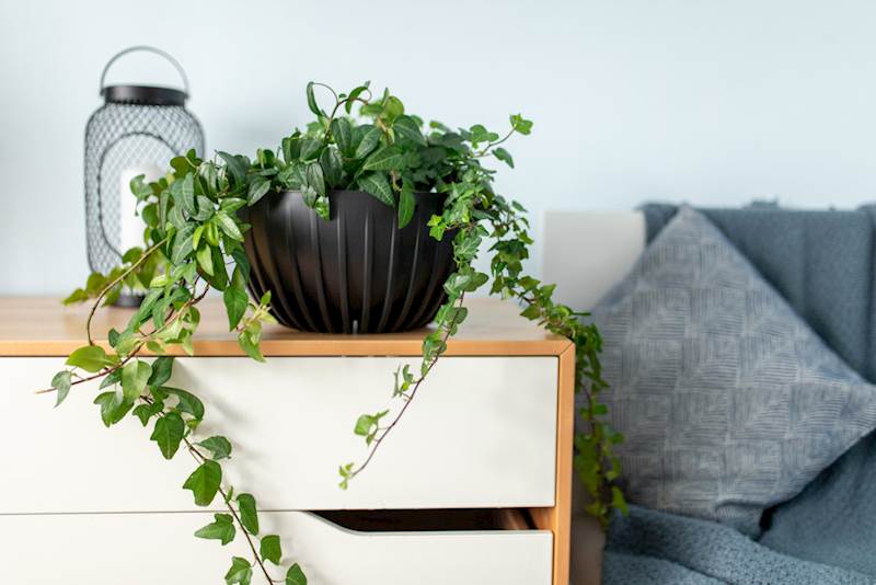 Misa MIRA 300 mm bialy