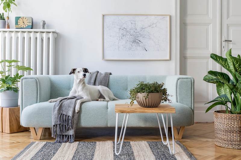 Misa MIRA 240 mm ECO coffee espresso