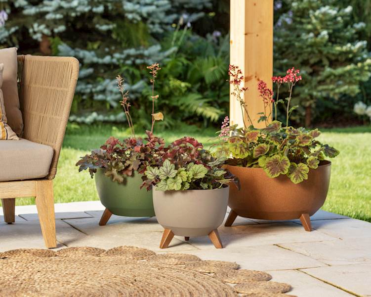 Misa ROMA ECO coffee 290 - espresso