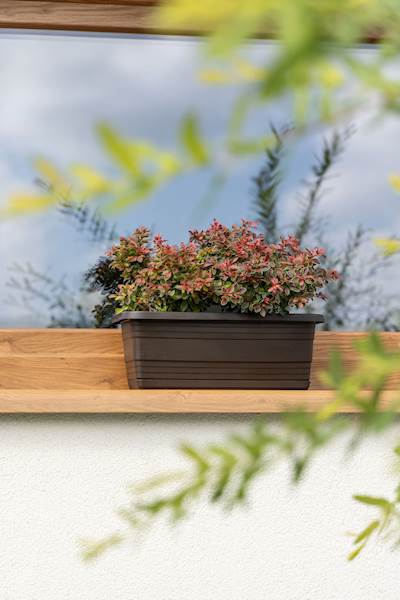 Skrzynka balkonowa BONA 500 mm - ceglasty