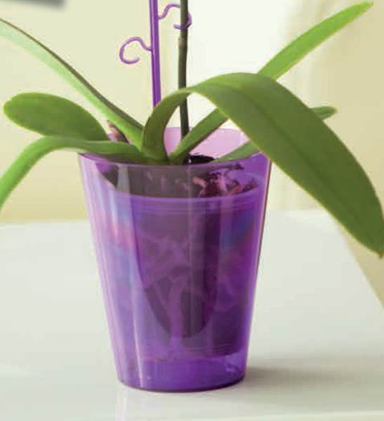 Osłonka do storczyka Vulcano 13 bezbarwny