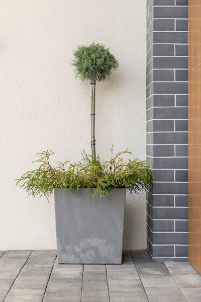 Doniczka JUKA 250x250 - szary beton