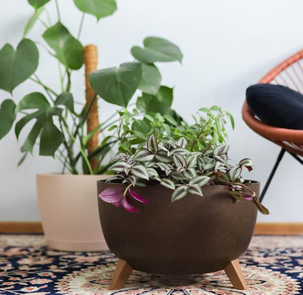 Misa ROMA ECO coffee 330 - latte