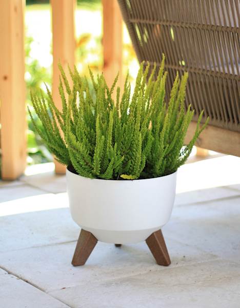 Misa ROMA 330  recycled - kremowy