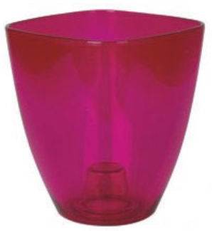 Osłonka storczyk 15 cm transparentny amarant