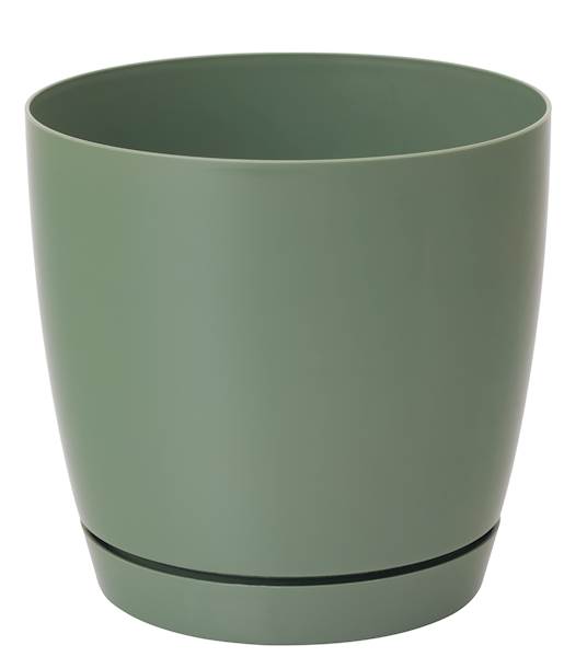 Toscana 17 okrągła zielona herbata