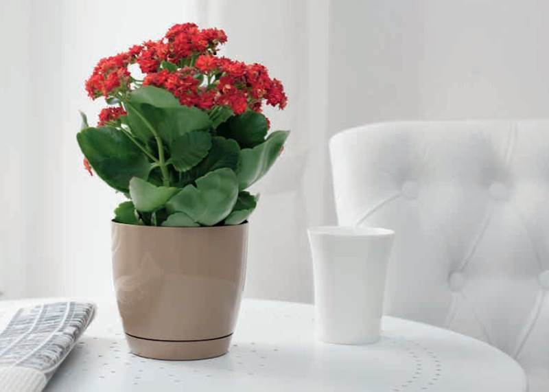 Toscana 17 okrągła beton