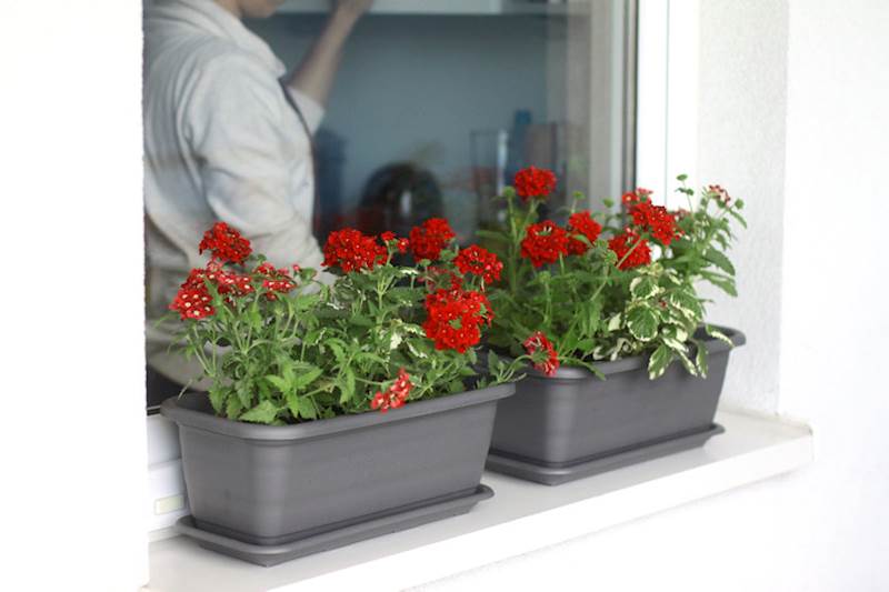 Skrzynka balkonowa Natura 400 mm - mokka