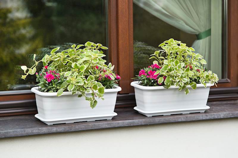 Skrzynka balkonowa Natura 400 mm - biały