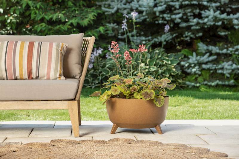 Misa ROMA ECO wood 330 - naturalne drewno