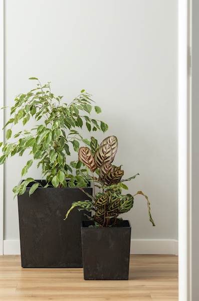 Doniczka JUKA 250x250 - biały