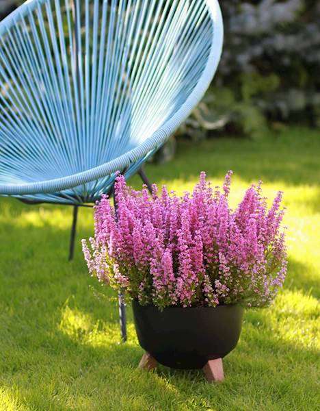 Misa ROMA 240 recycled - czarny