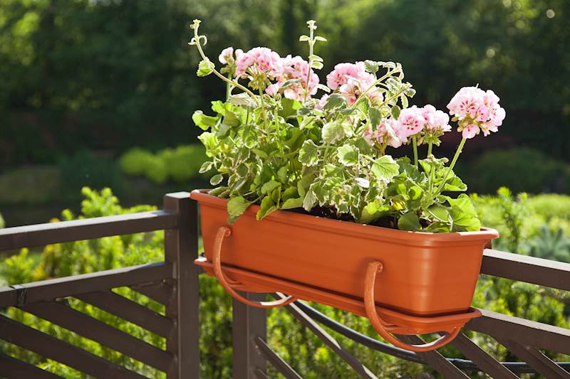 Uchwyt na 5-kę do skrzynki balkonowej - mokka