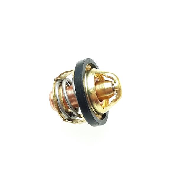 TERMOSTAT LINHAI 300/400