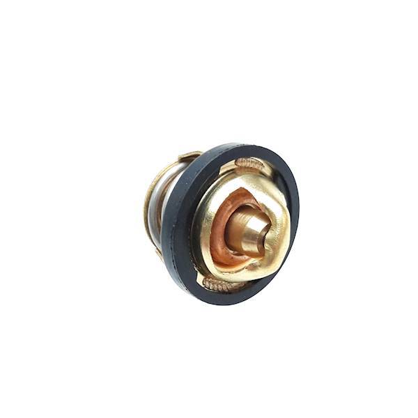 TERMOSTAT LINHAI 300/400