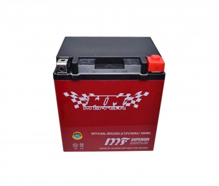 AKUMULATOR WTX30L-BS ( YTX30L-BS ) ( GEL ) 12 VOL 30Ah