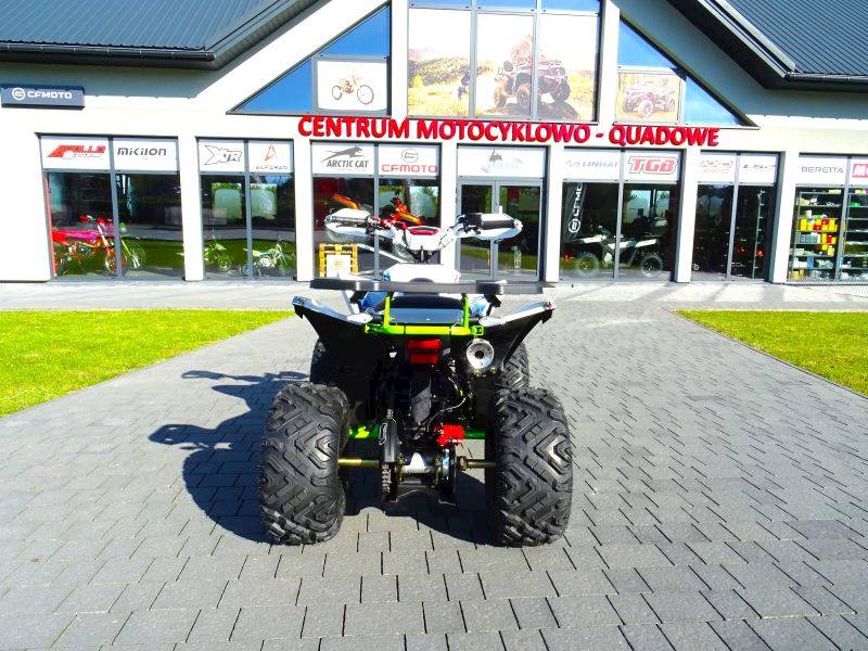 QUAD ASIX AVATAR 250CC 10" 4+1 • Kolor: Granatowo/limonkowy