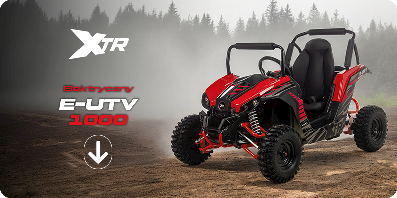 MINI E-UTV XTR 1000W
